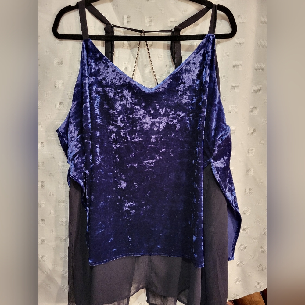 Mblm sheer and velvet top.